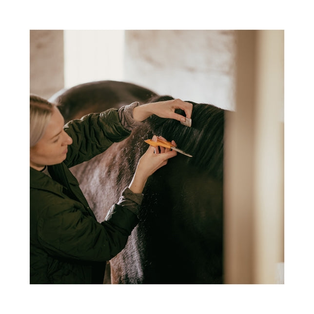 FISKARS Classic Universalschere 21 cm S90