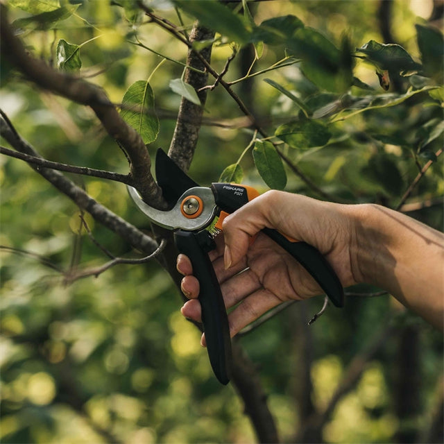 Fiskars Solid™ Bypass-Gartenschere M, P321