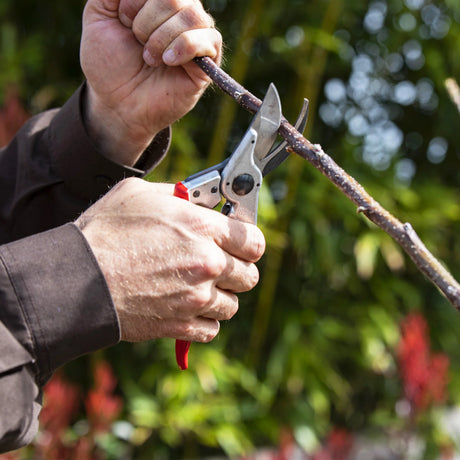 FELCO 11 Baum-, Reb- und Gartenschere