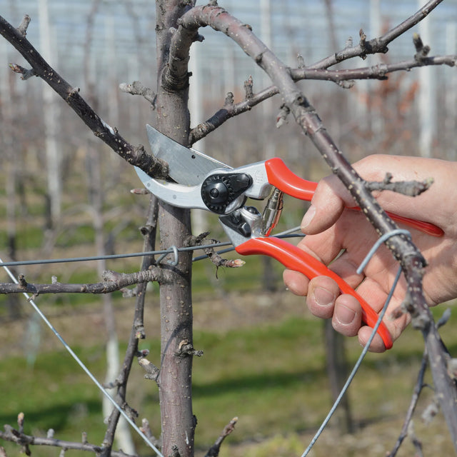 FELCO 2 Baum-, Reb- und Gartenschere